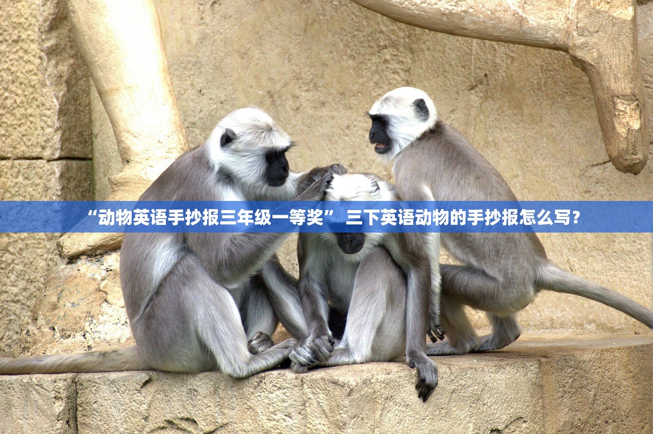 “动物英语手抄报三年级一等奖” 三下英语动物的手抄报怎么写？
