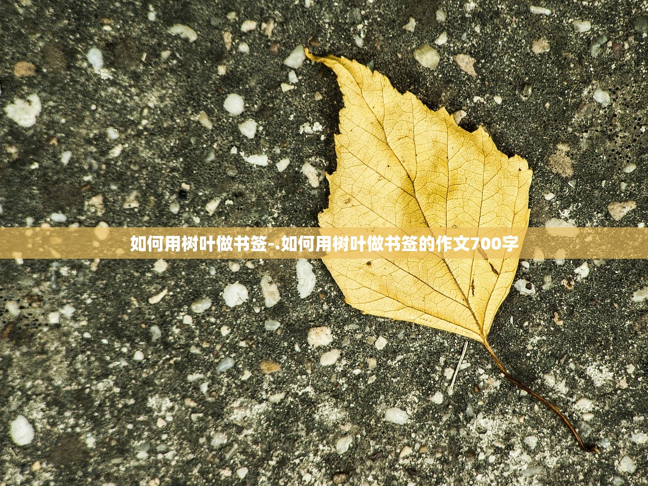 如何用树叶做书签-.如何用树叶做书签的作文700字 如何用树叶做书签-.如何用树叶做书签的作文700字