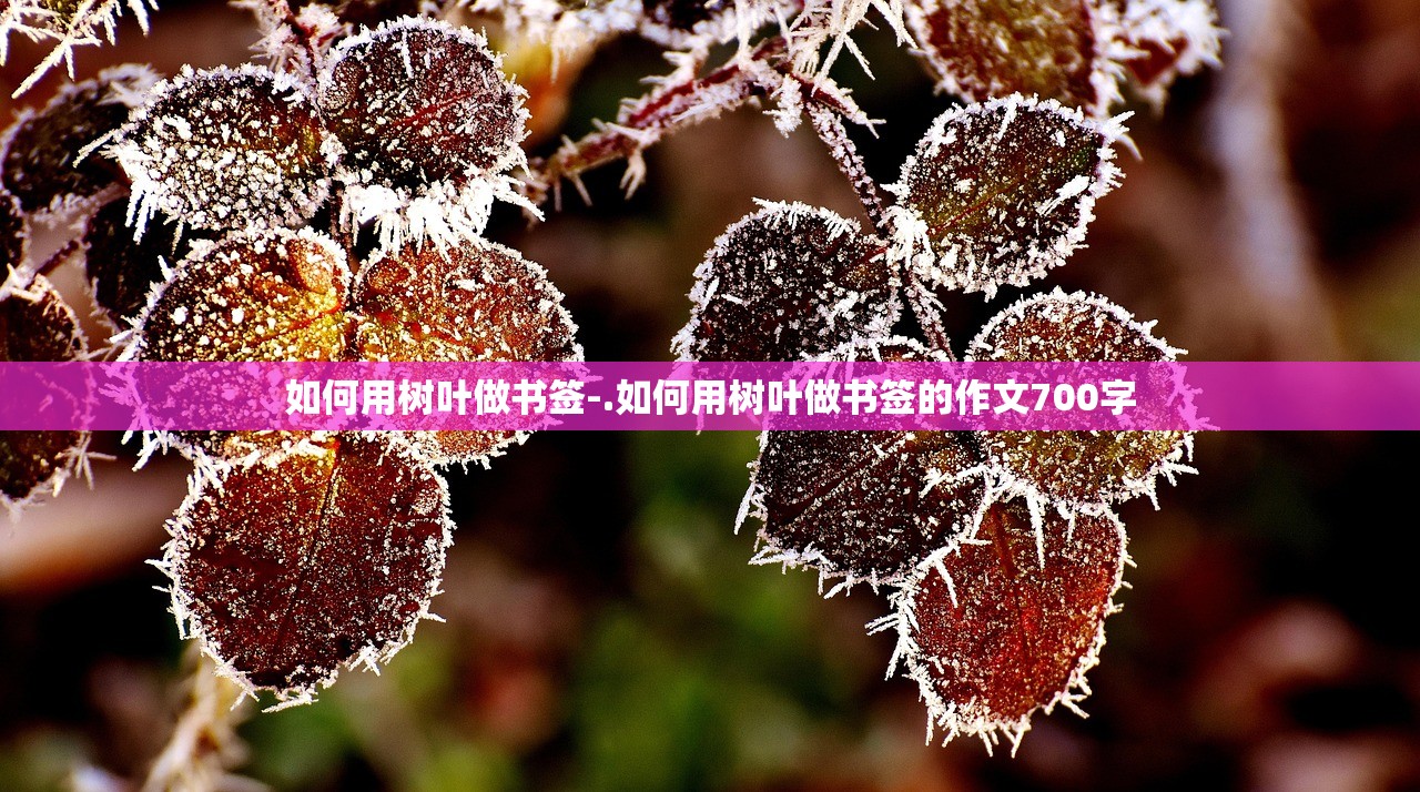 如何用树叶做书签-.如何用树叶做书签的作文700字 如何用树叶做书签-.如何用树叶做书签的作文700字