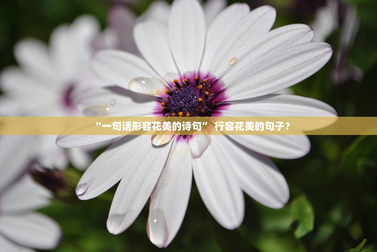 “一句话形容花美的诗句” 行容花美的句子？