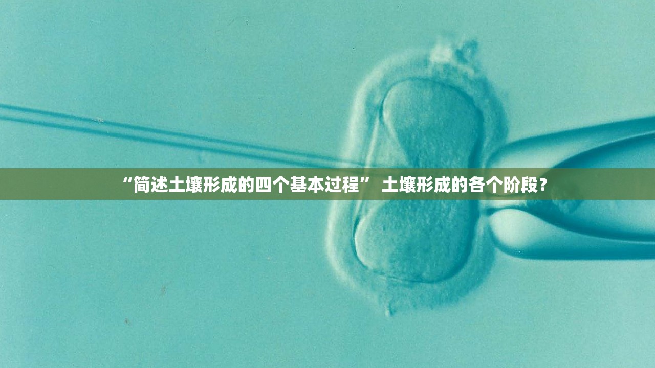 “简述土壤形成的四个基本过程” 土壤形成的各个阶段？