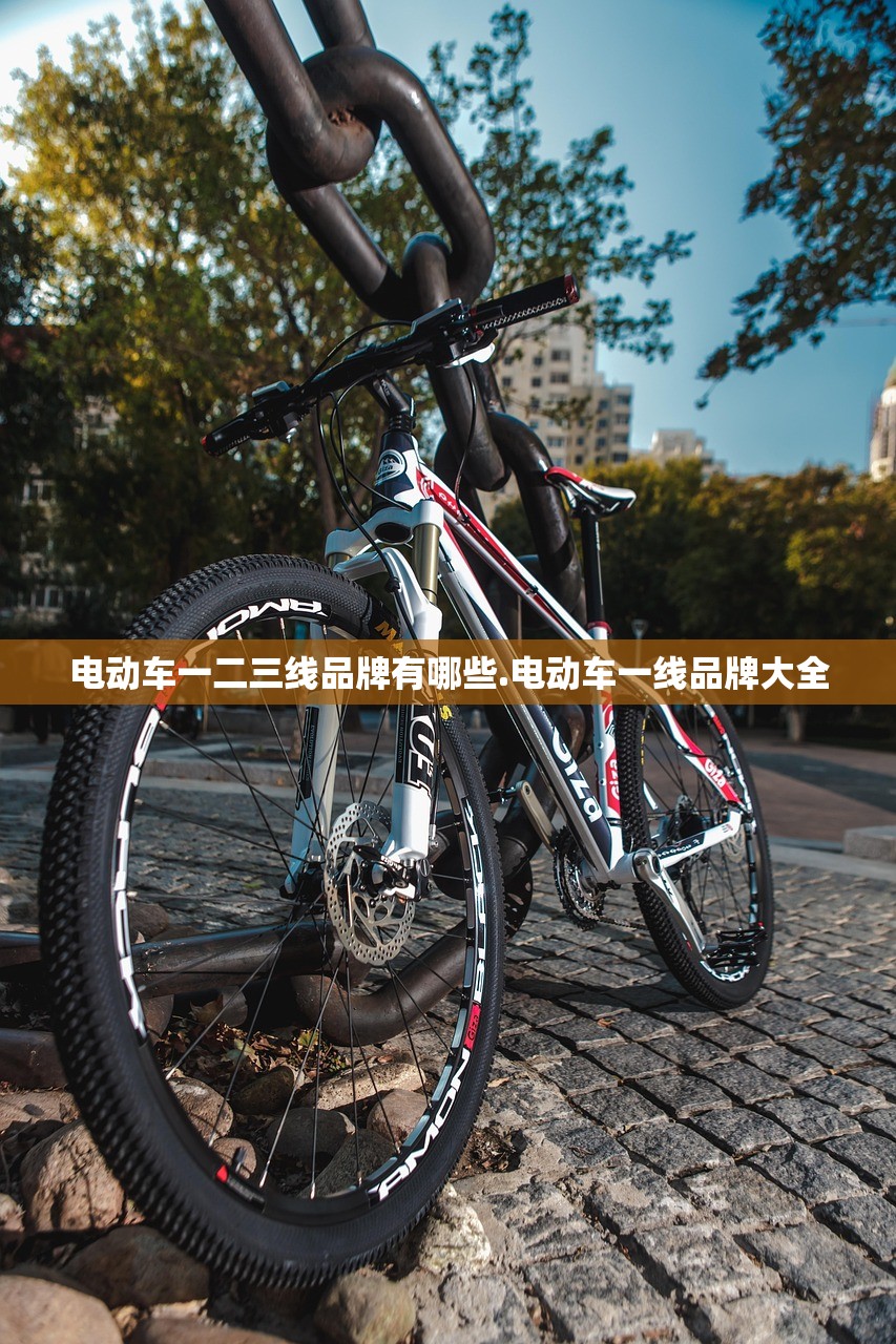 电动车一二三线品牌有哪些.电动车一线品牌大全