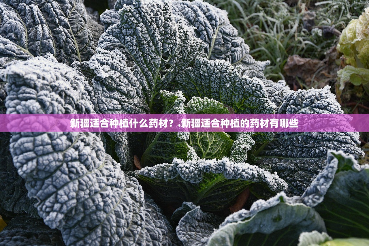 新疆适合种植什么药材？.新疆适合种植的药材有哪些