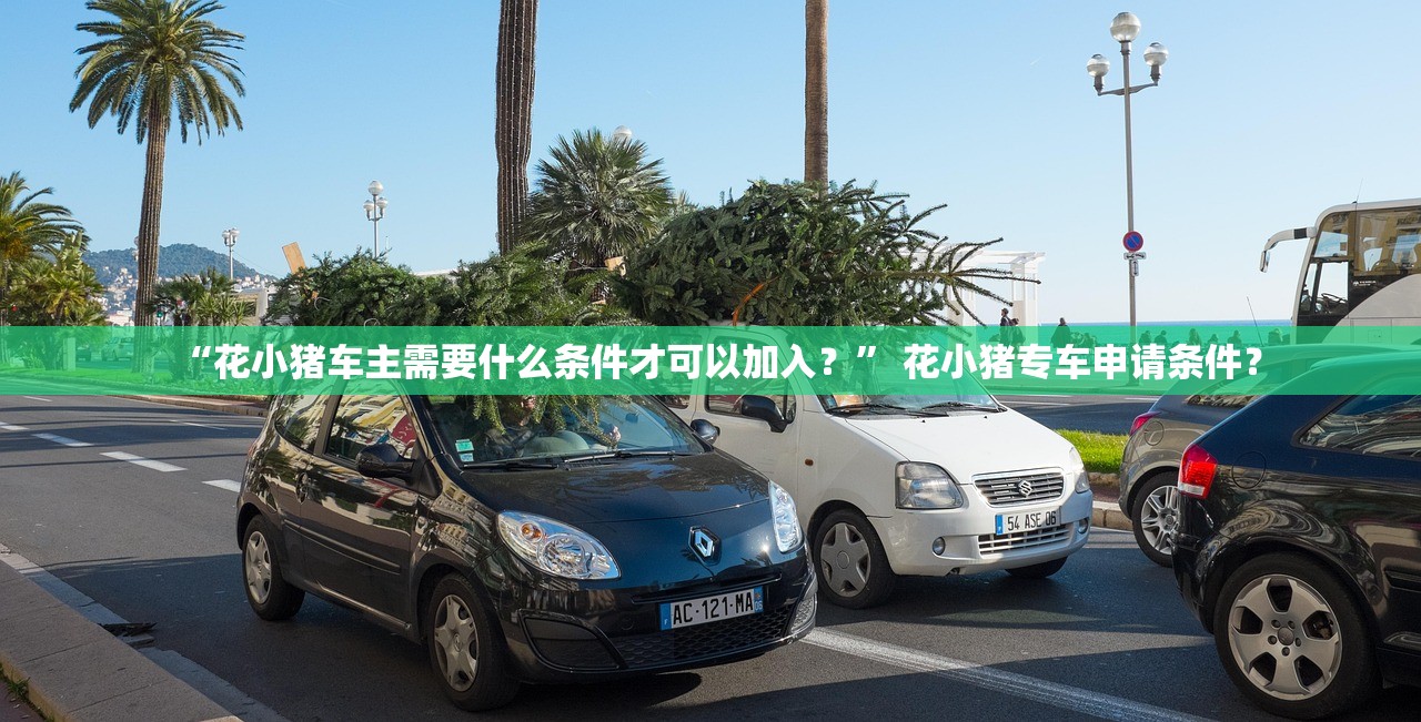 “花小猪车主需要什么条件才可以加入？” 花小猪专车申请条件？