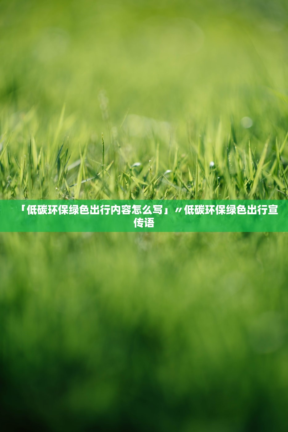 「低碳环保绿色出行内容怎么写」〃低碳环保绿色出行宣传语
