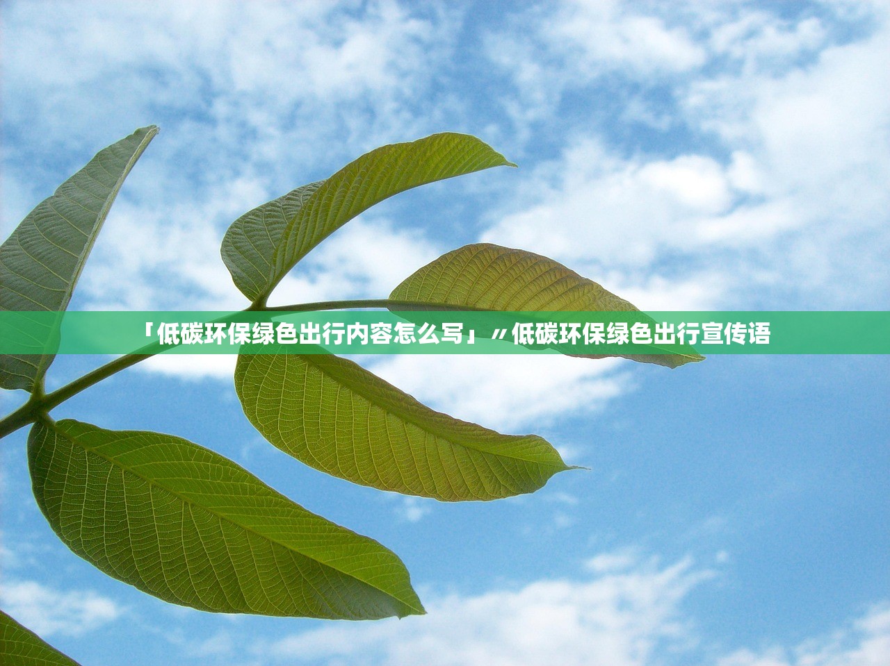 「低碳环保绿色出行内容怎么写」〃低碳环保绿色出行宣传语