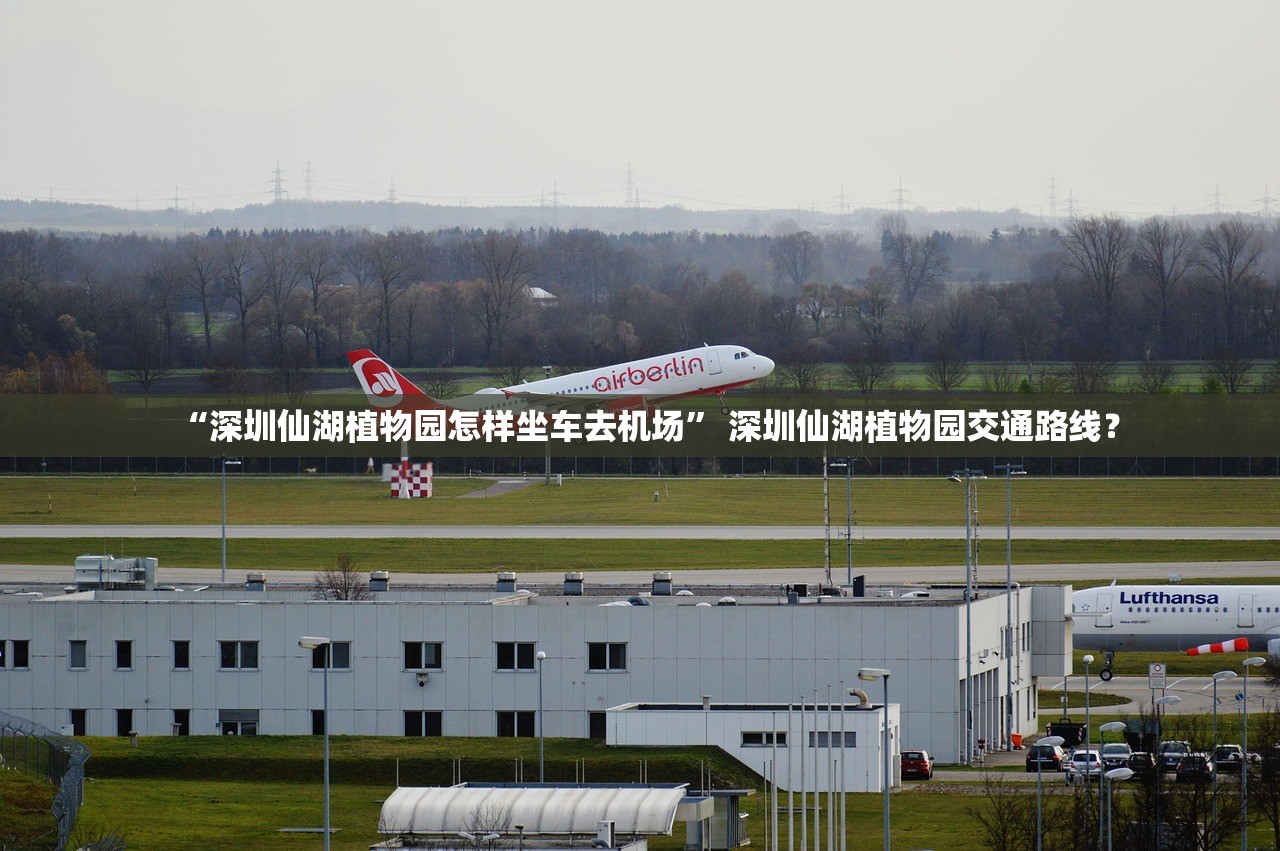 “深圳仙湖植物园怎样坐车去机场” 深圳仙湖植物园交通路线？