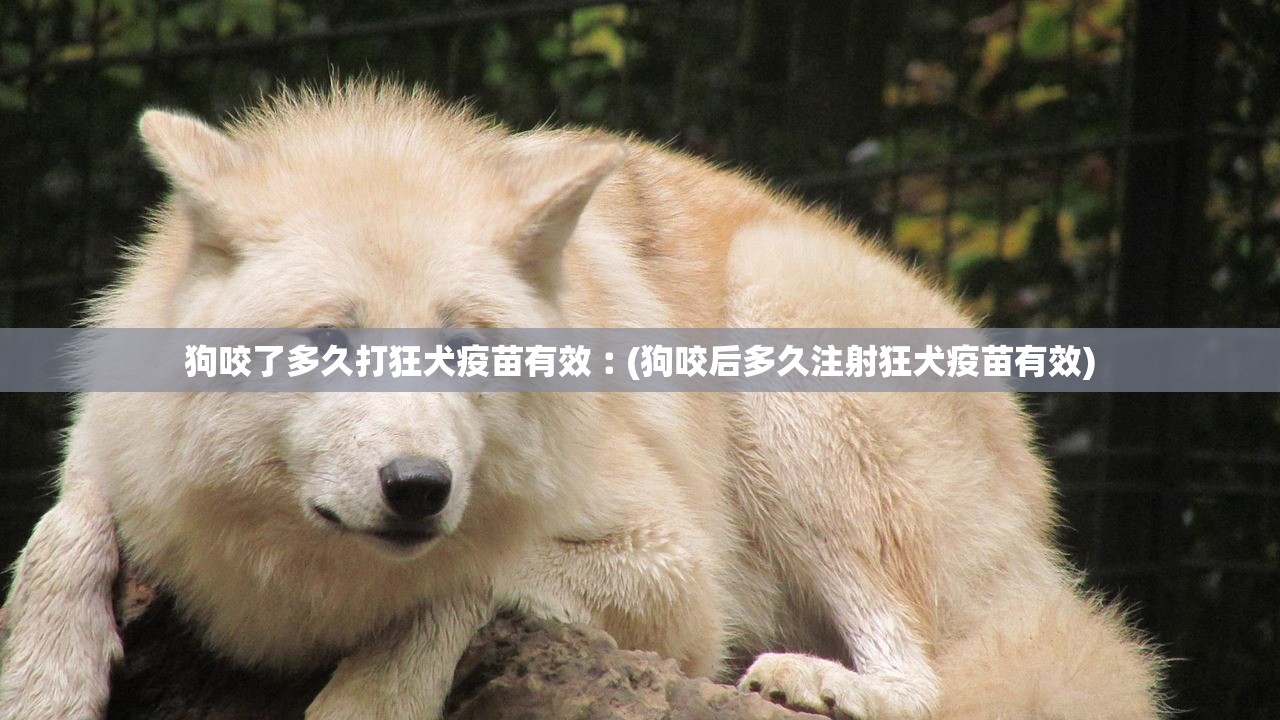 狗咬了多久打狂犬疫苗有效︰(狗咬后多久注射狂犬疫苗有效)