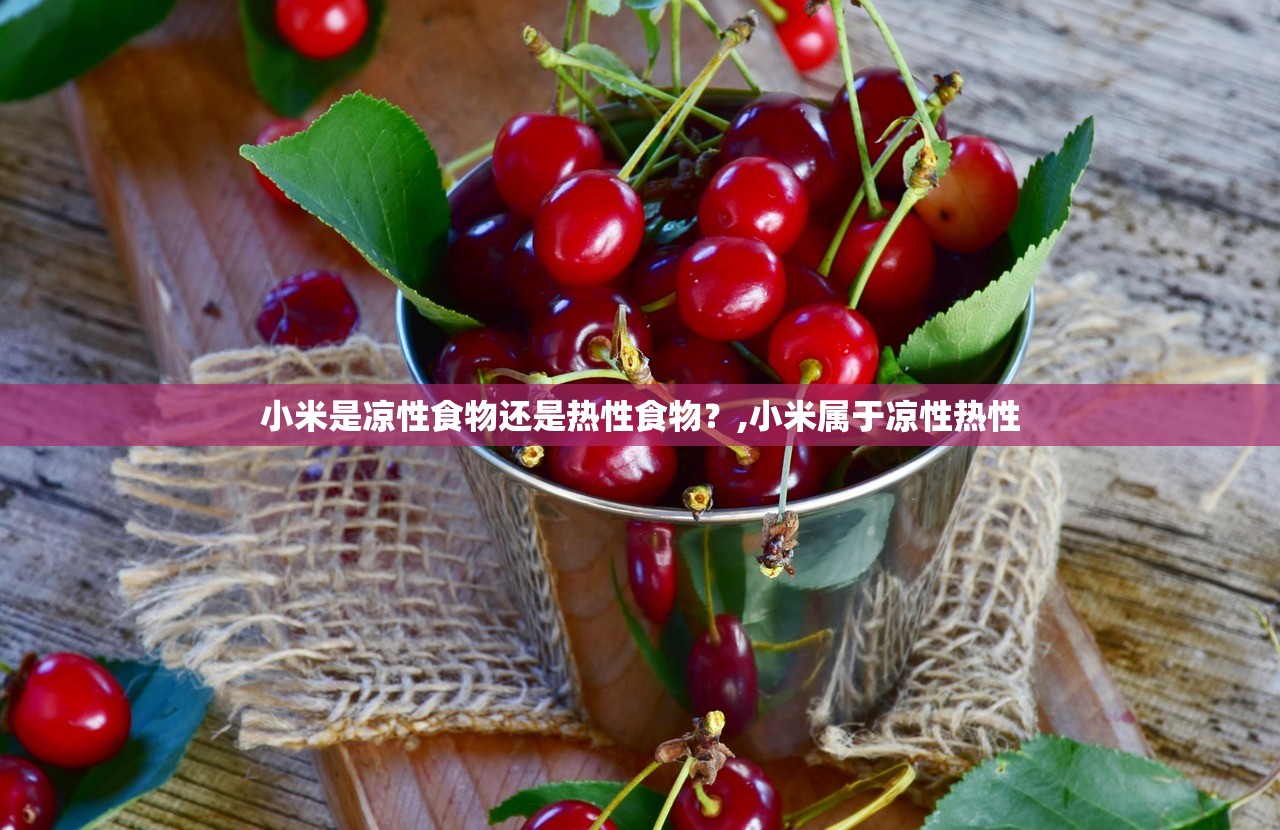 小米是凉性食物还是热性食物？,小米属于凉性热性