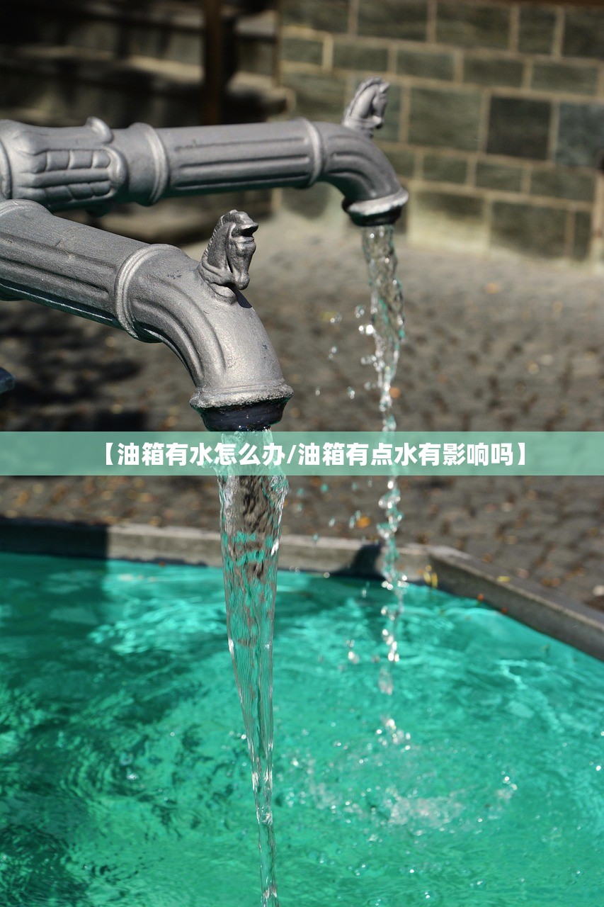 【油箱有水怎么办/油箱有点水有影响吗】