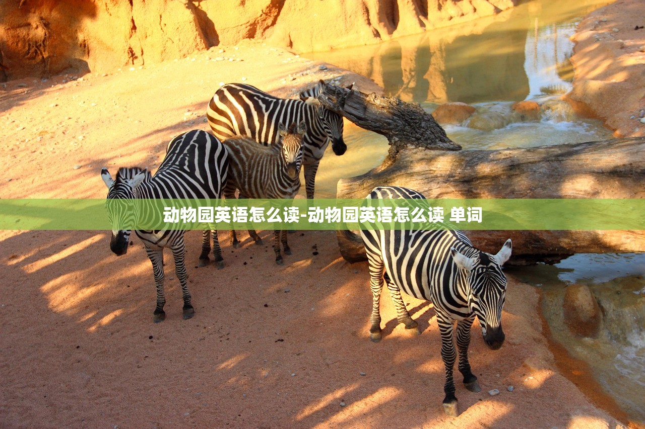 动物园英语怎么读-动物园英语怎么读 单词 动物园英语怎么读-动物园英语怎么读 单词