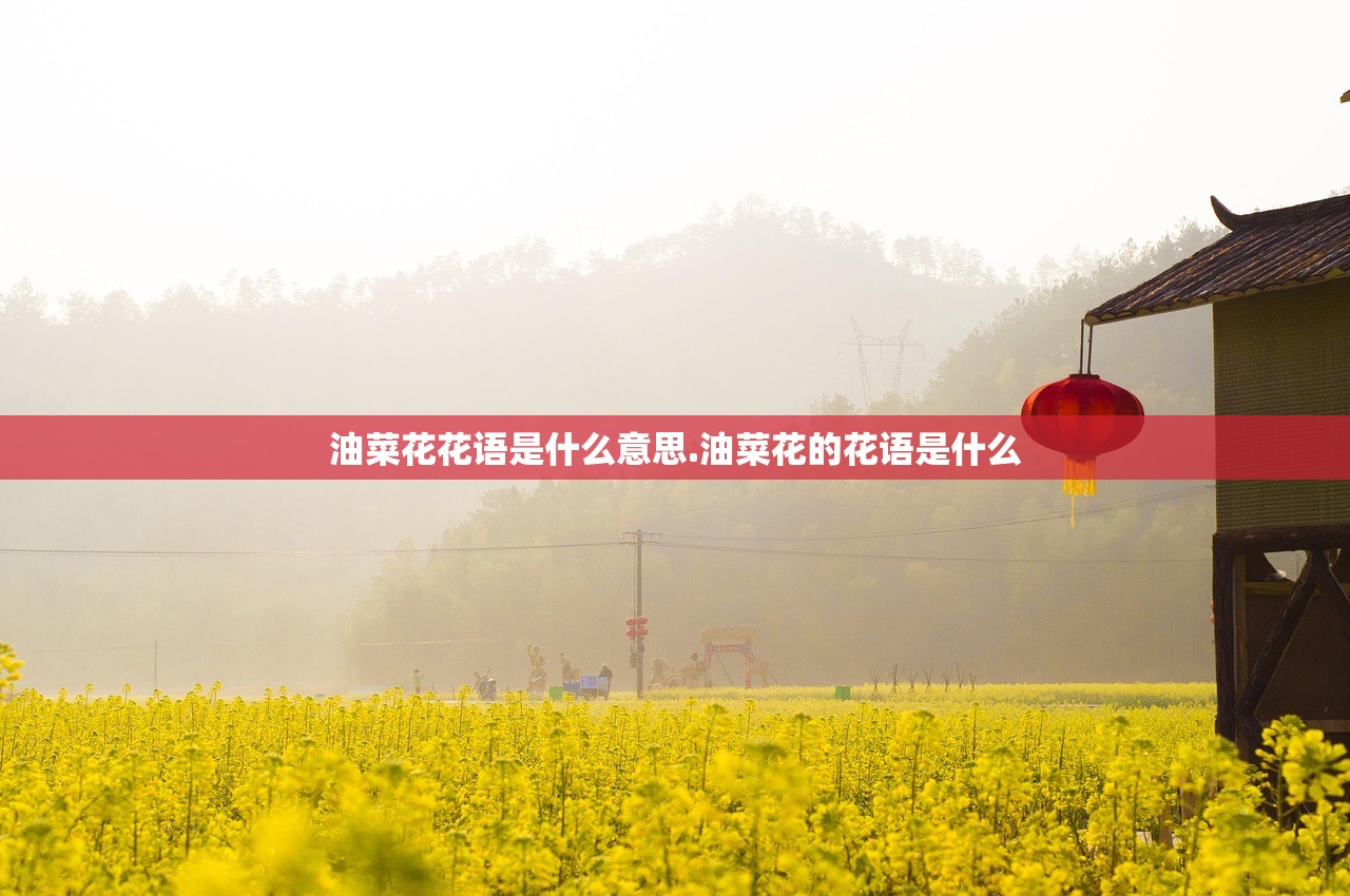 油菜花花语是什么意思.油菜花的花语是什么 油菜花花语是什么意思.油菜花的花语是什么