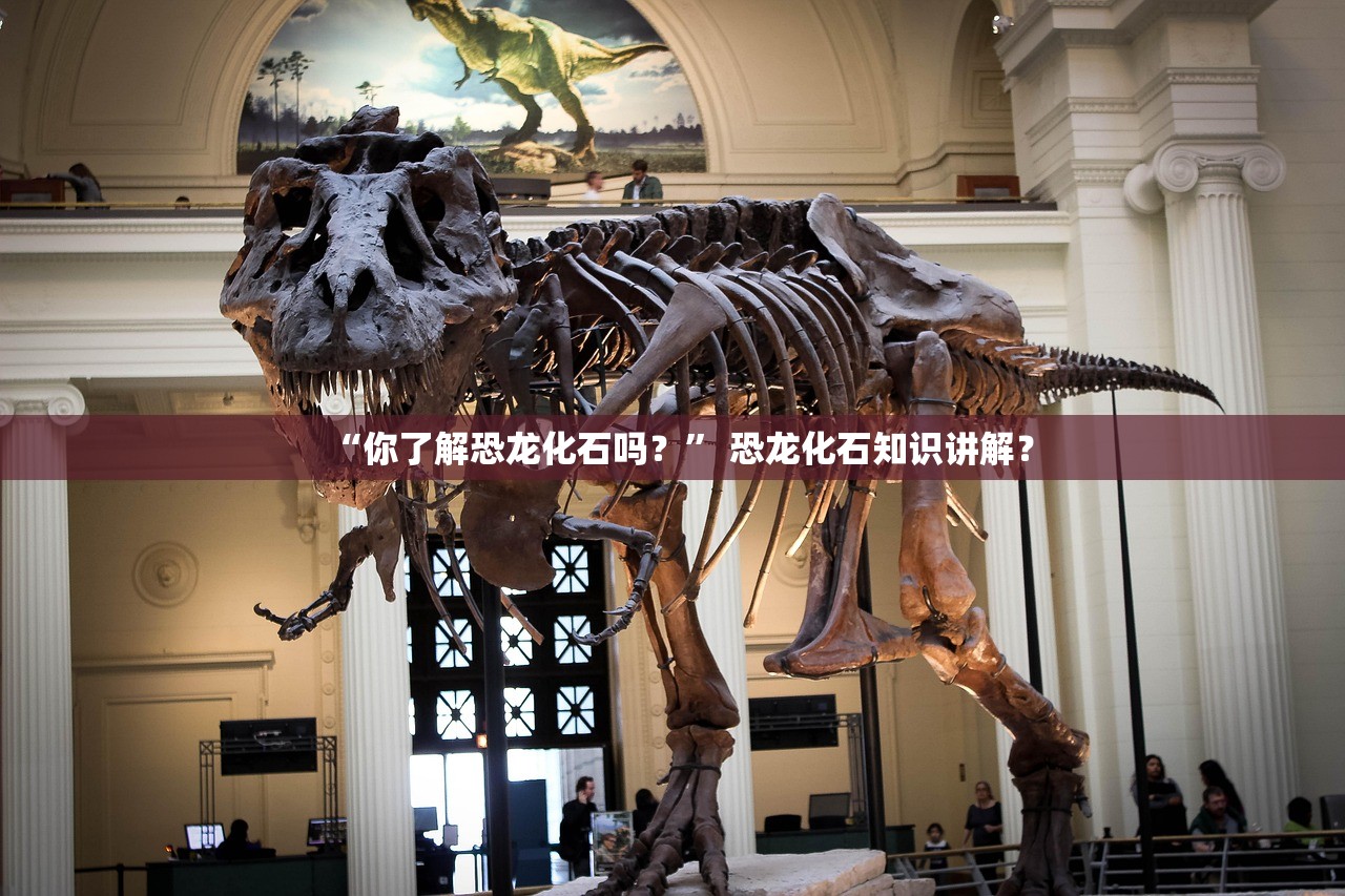 “你了解恐龙化石吗？	” 恐龙化石知识讲解？