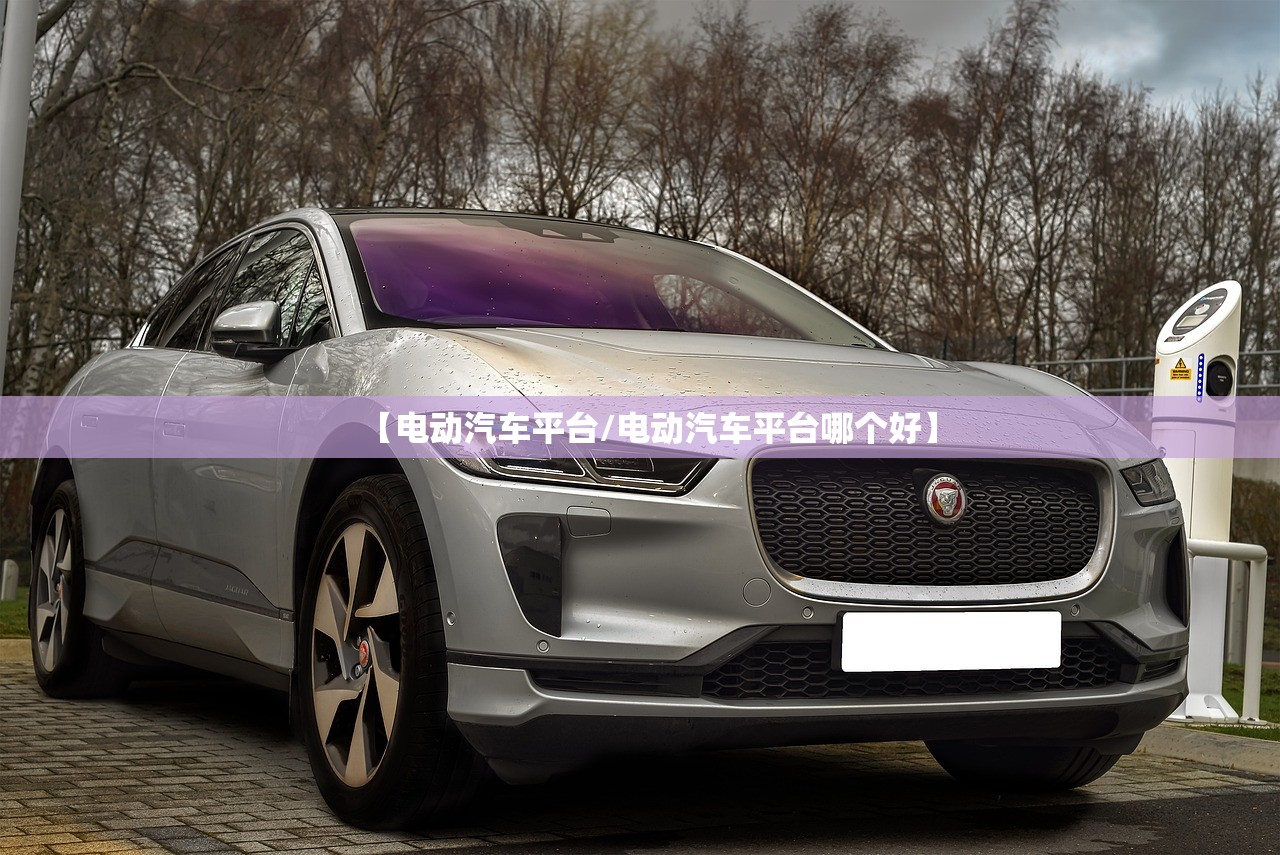 【电动汽车平台/电动汽车平台哪个好】