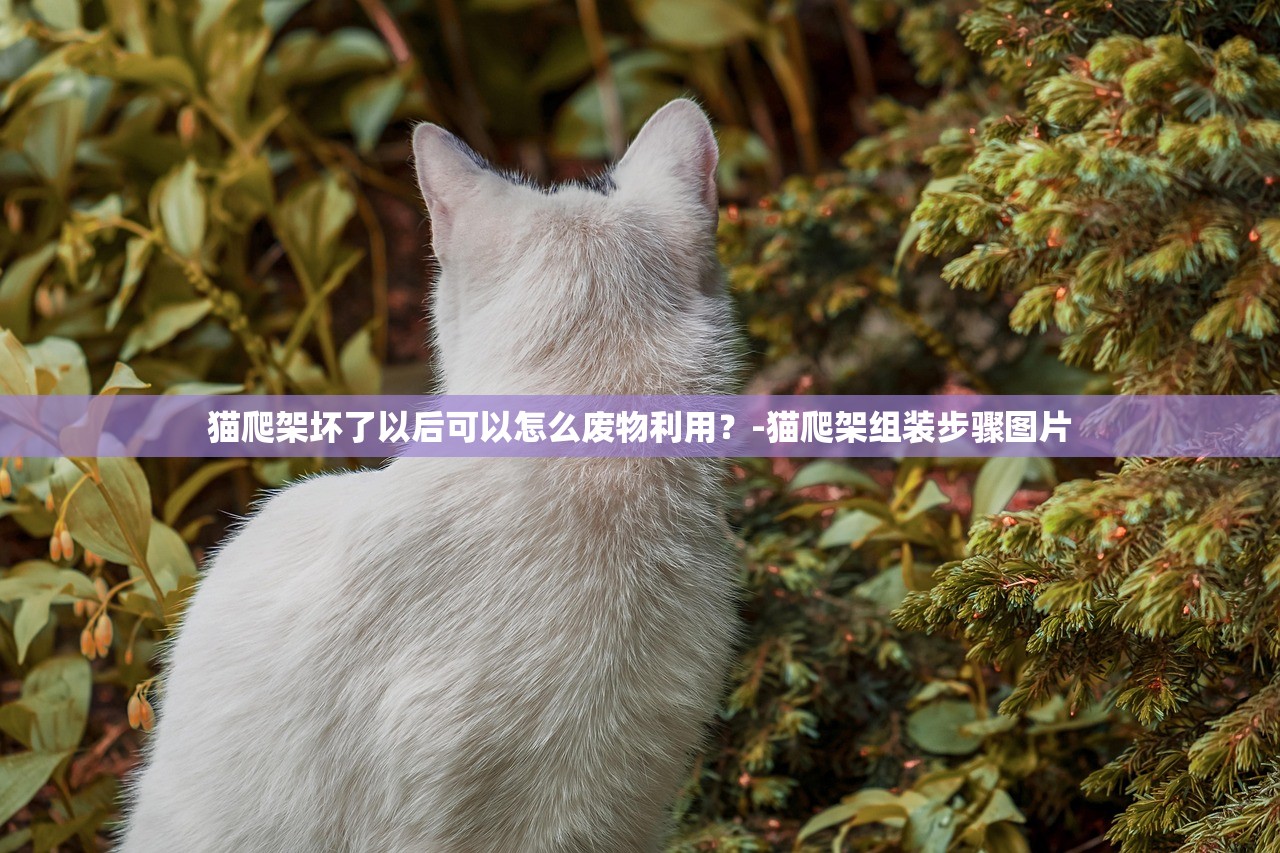 猫爬架坏了以后可以怎么废物利用？-猫爬架组装步骤图片