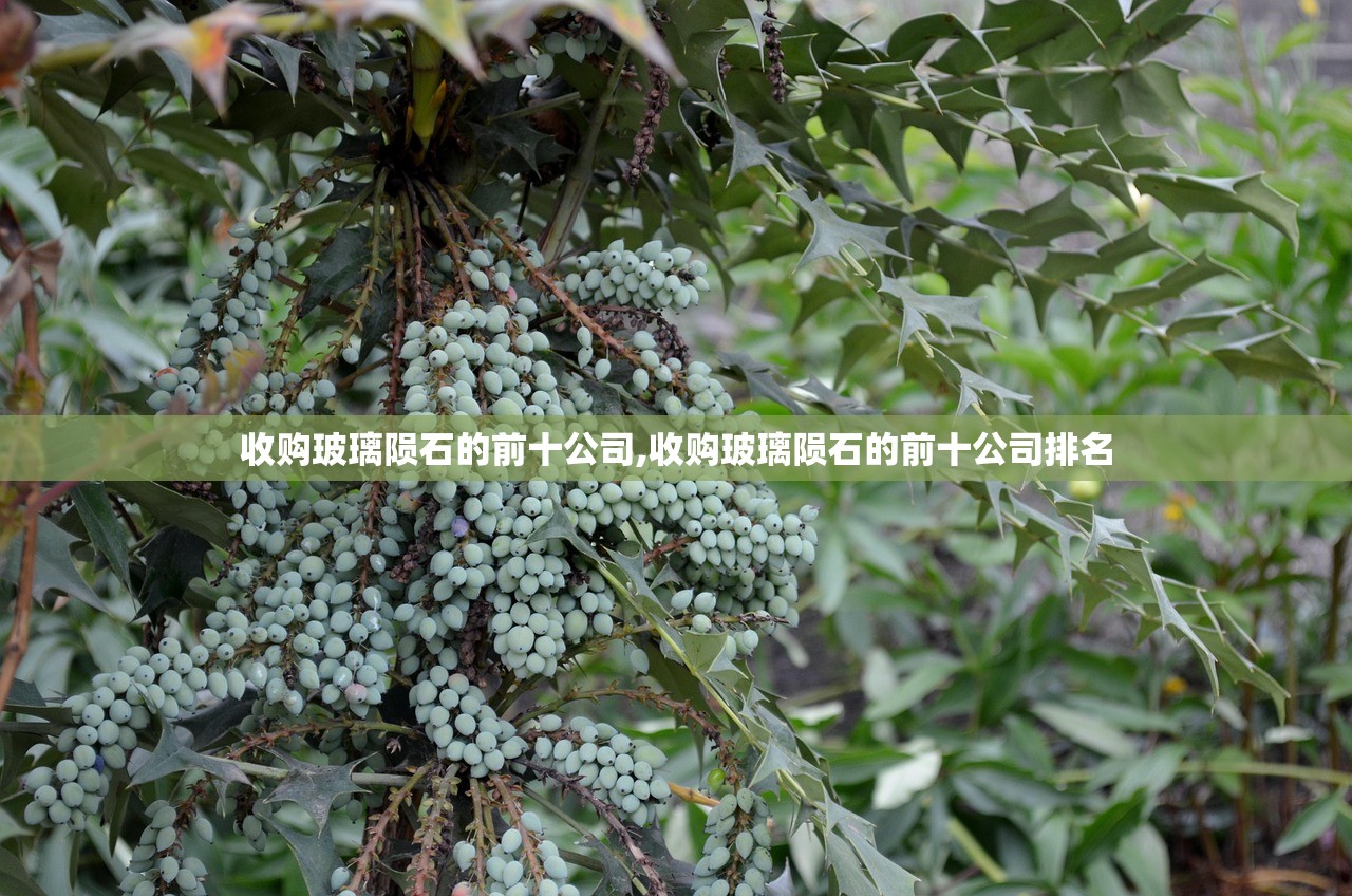 收购玻璃陨石的前十公司,收购玻璃陨石的前十公司排名