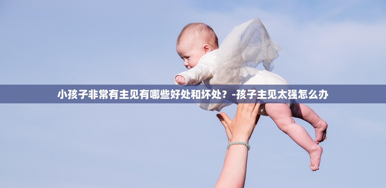 小孩子非常有主见有哪些好处和坏处？-孩子主见太强怎么办