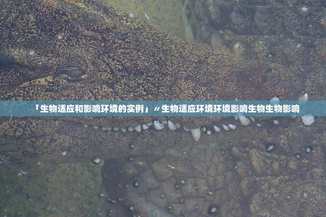 「生物适应和影响环境的实例」〃生物适应环境环境影响生物生物影响
