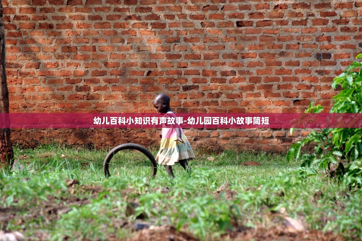 幼儿百科小知识有声故事-幼儿园百科小故事简短 幼儿百科小知识有声故事-幼儿园百科小故事简短