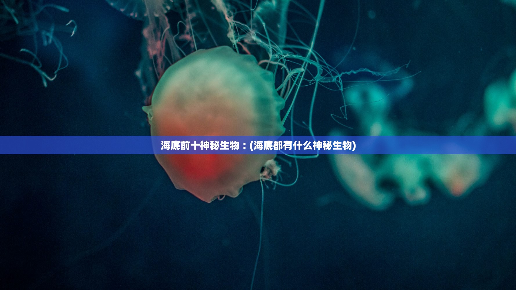 海底前十神秘生物︰(海底都有什么神秘生物)