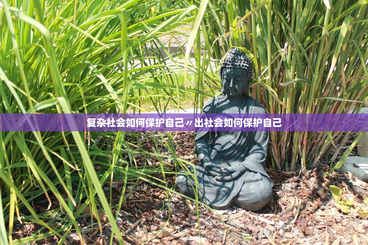 复杂社会如何保护自己〃出社会如何保护自己