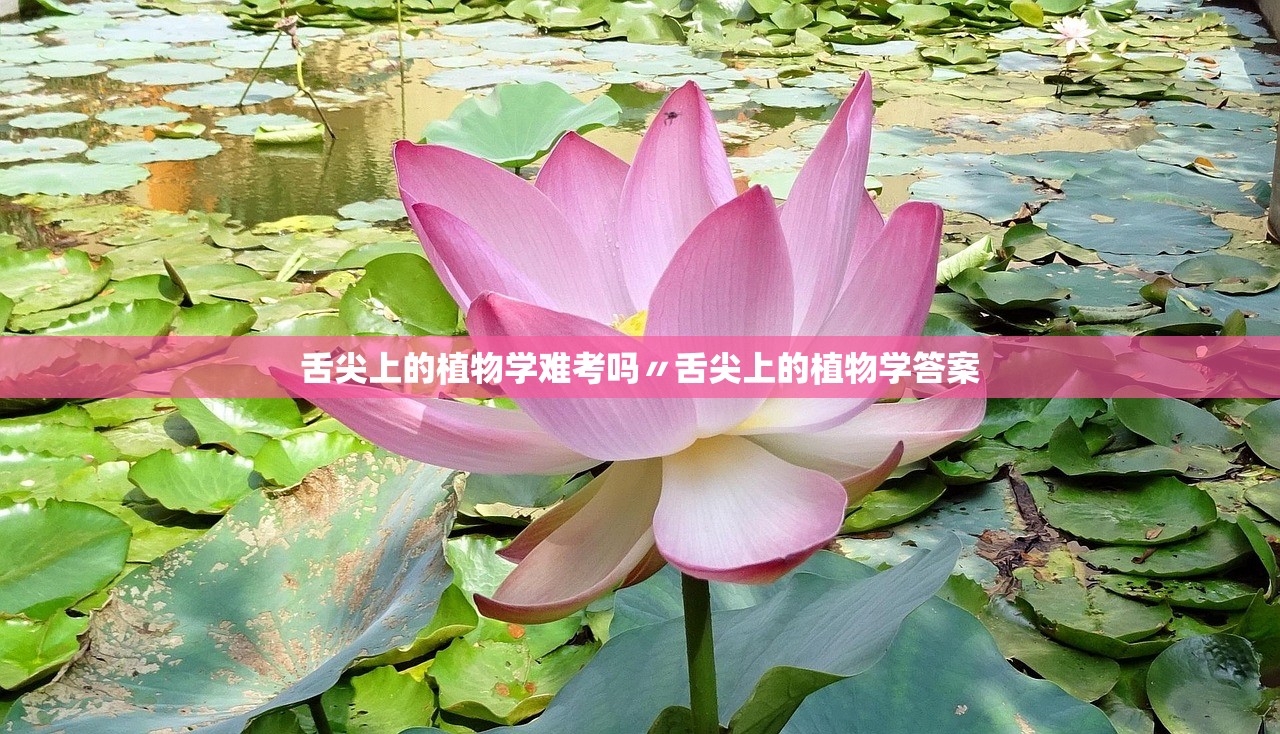 舌尖上的植物学难考吗〃舌尖上的植物学答案