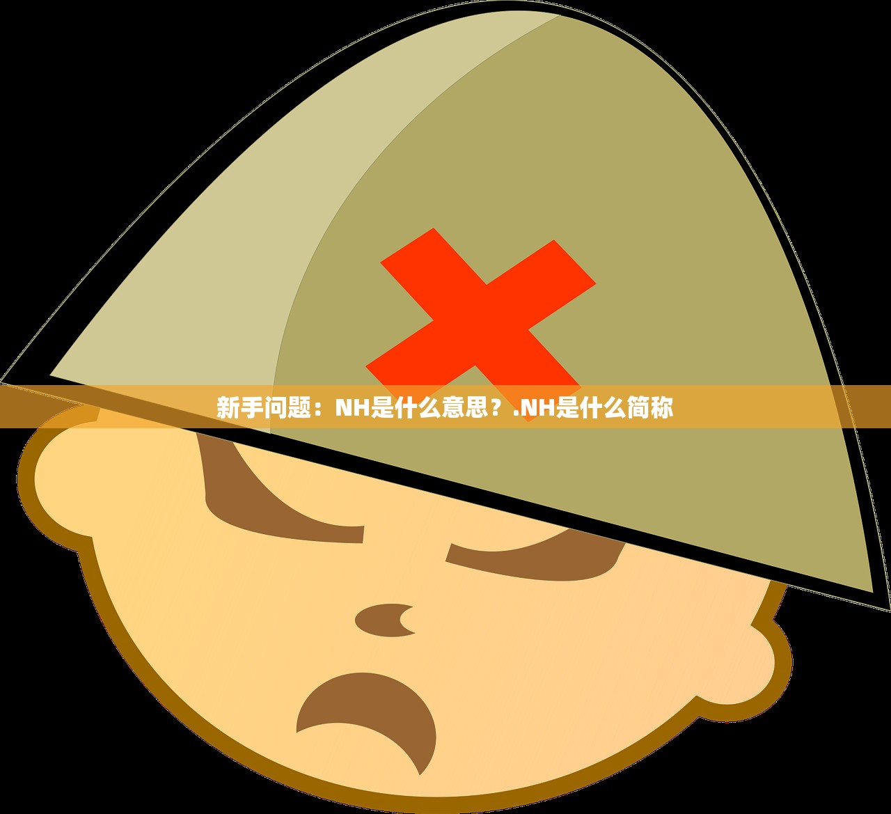 新手问题：NH是什么意思？.NH是什么简称