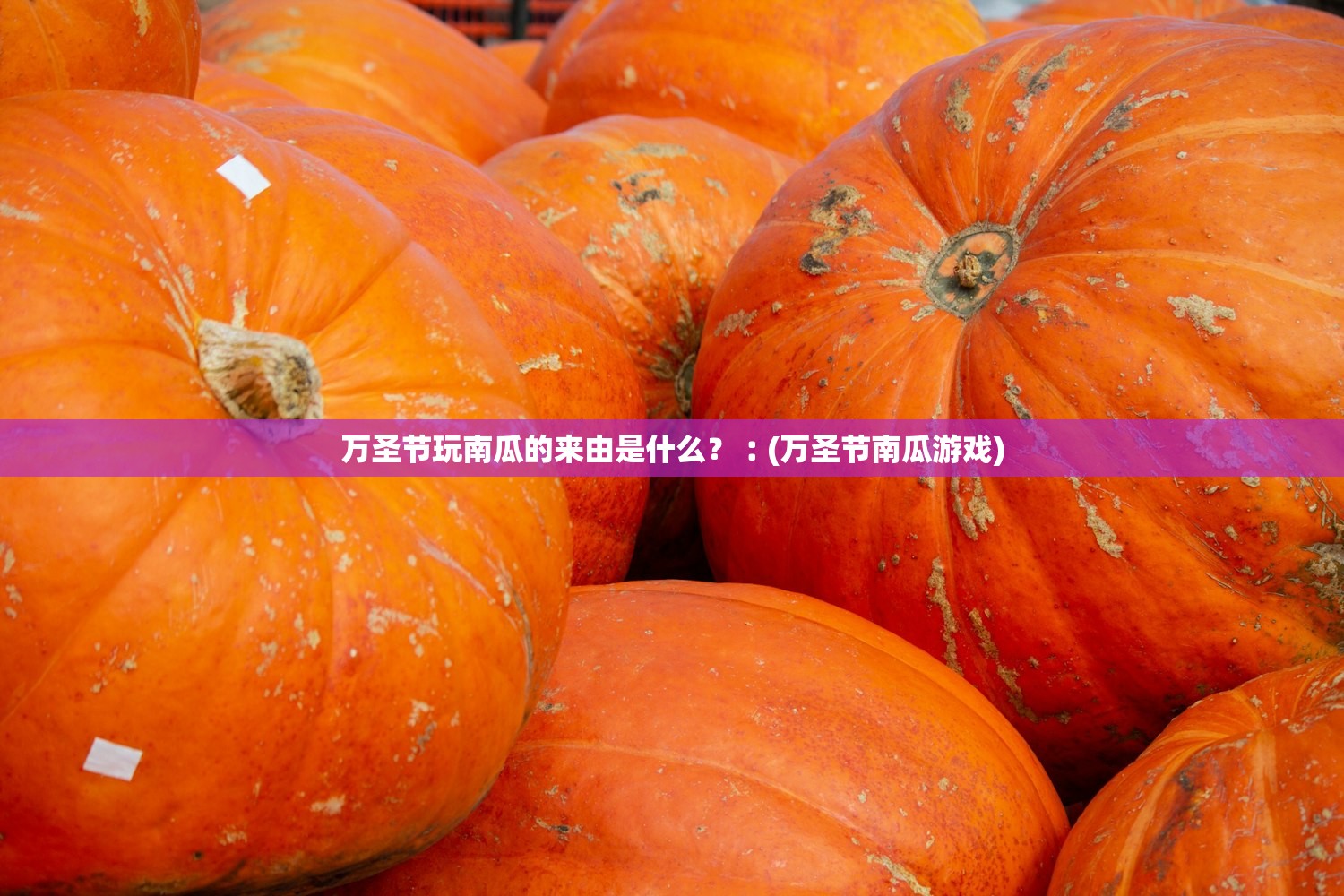 万圣节玩南瓜的来由是什么？︰(万圣节南瓜游戏)