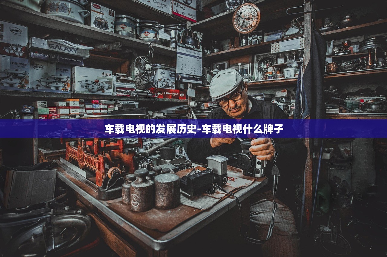 车载电视的发展历史-车载电视什么牌子