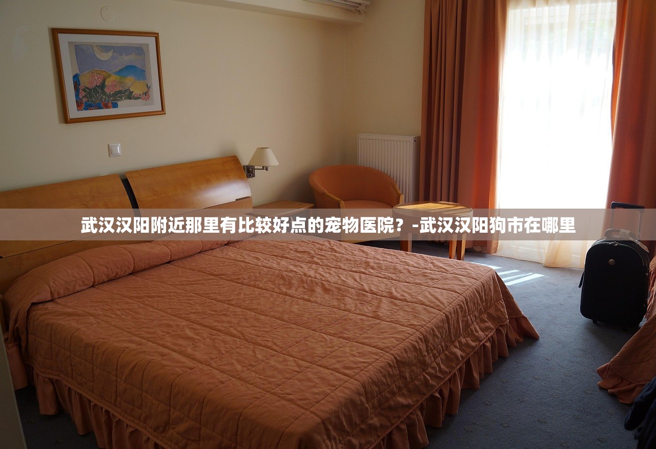 武汉汉阳附近那里有比较好点的宠物医院？-武汉汉阳狗市在哪里
