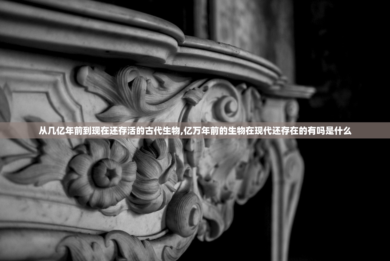 从几亿年前到现在还存活的古代生物,亿万年前的生物在现代还存在的有吗是什么