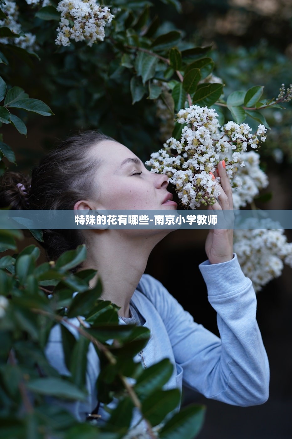 特殊的花有哪些-南京小学教师
