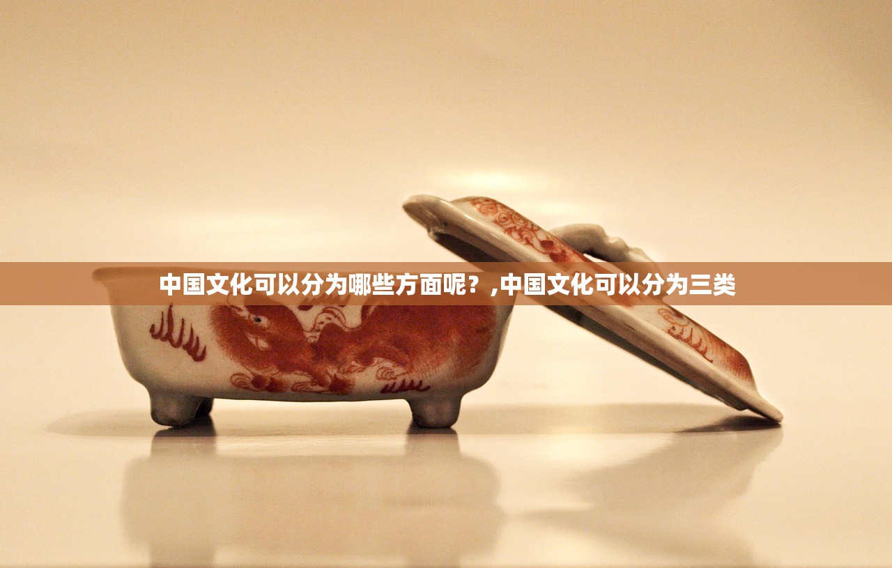中国文化可以分为哪些方面呢？,中国文化可以分为三类