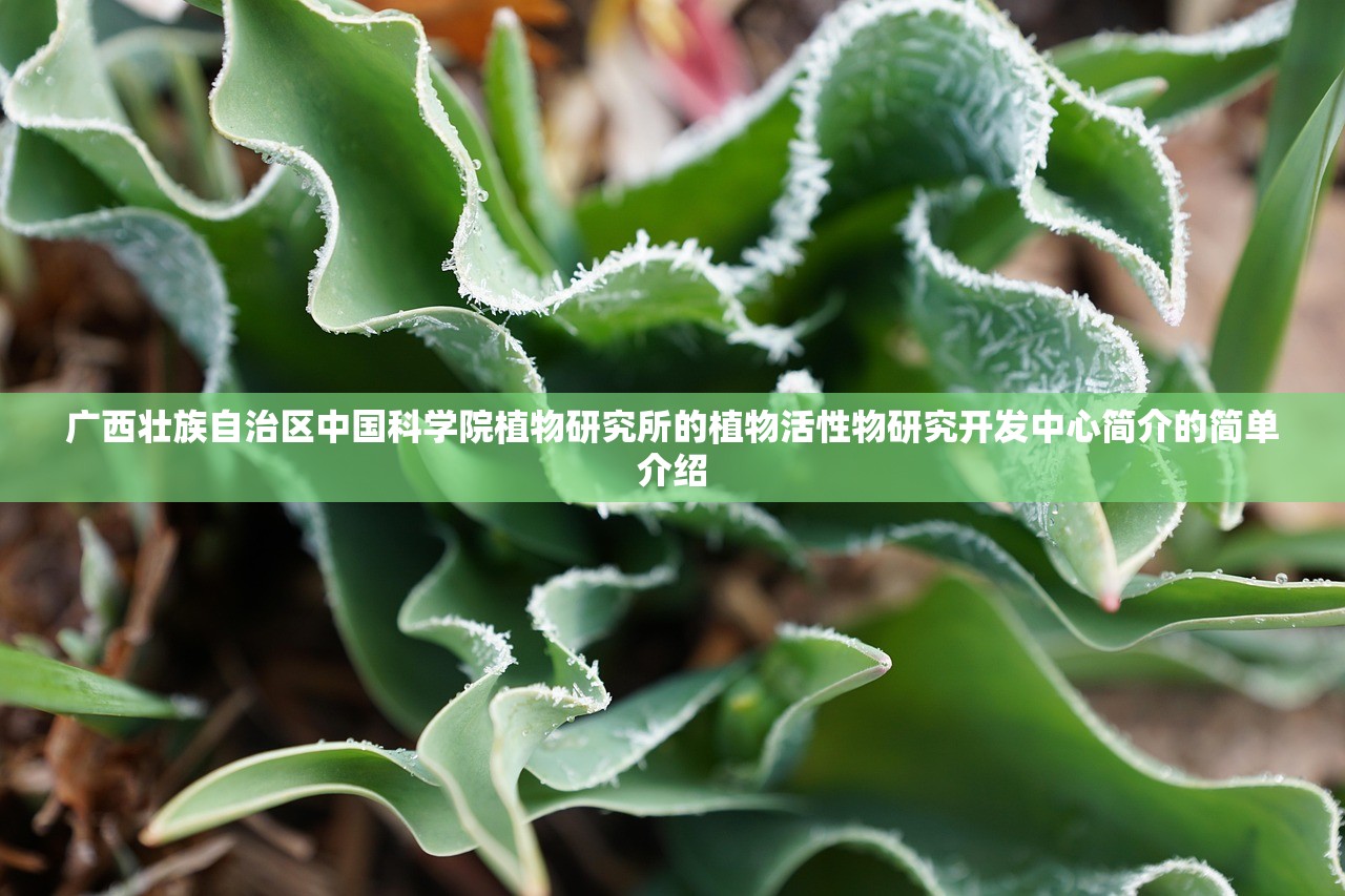 广西壮族自治区中国科学院植物研究所的植物活性物研究开发中心简介的简单介绍