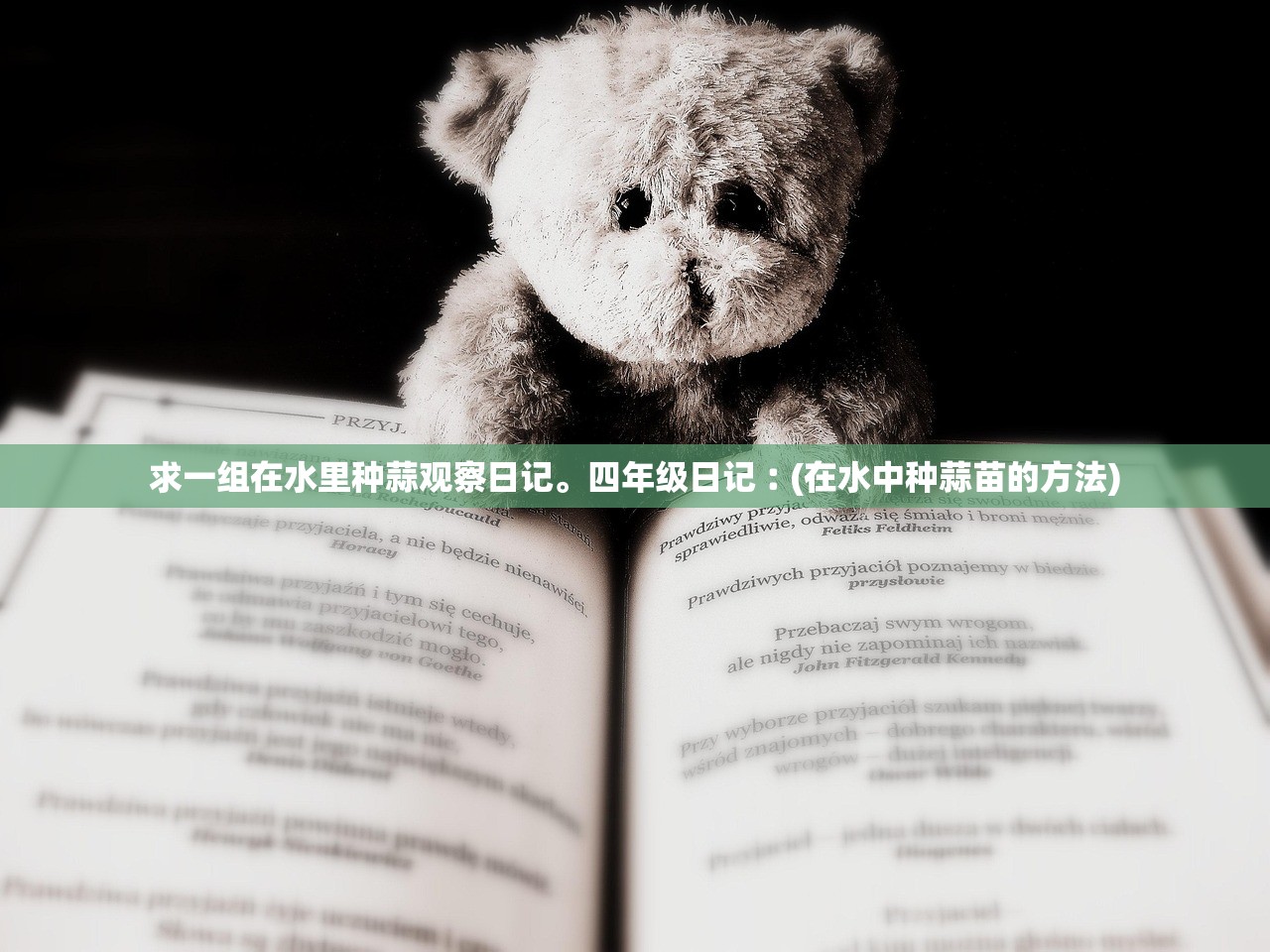 求一组在水里种蒜观察日记	。四年级日记︰(在水中种蒜苗的方法)