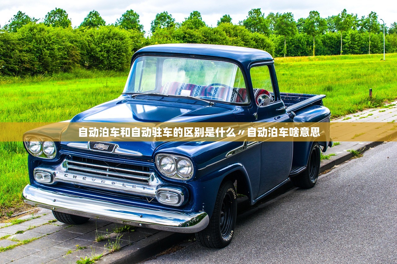 自动泊车和自动驻车的区别是什么〃自动泊车啥意思 自动泊车和自动驻车的区别是什么〃自动泊车啥意思