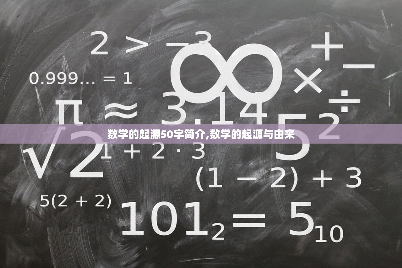数学的起源50字简介,数学的起源与由来