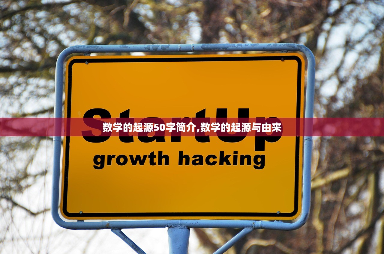 数学的起源50字简介,数学的起源与由来