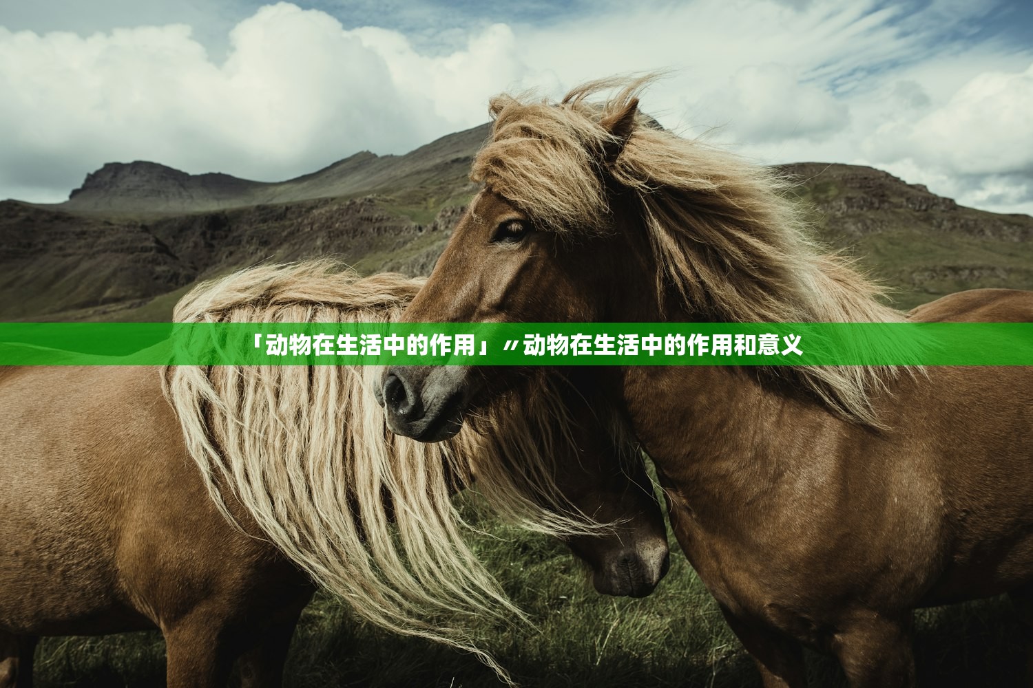「动物在生活中的作用」〃动物在生活中的作用和意义