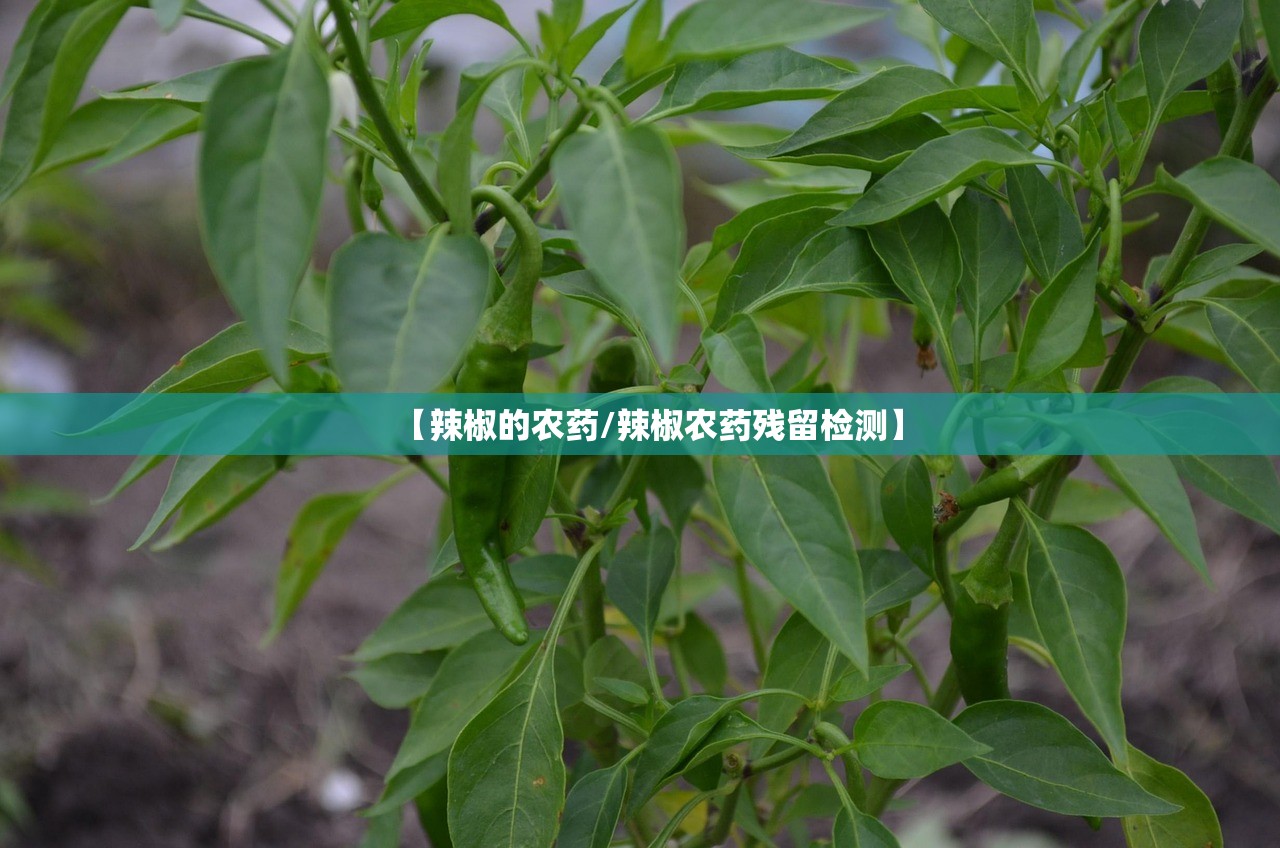【辣椒的农药/辣椒农药残留检测】
