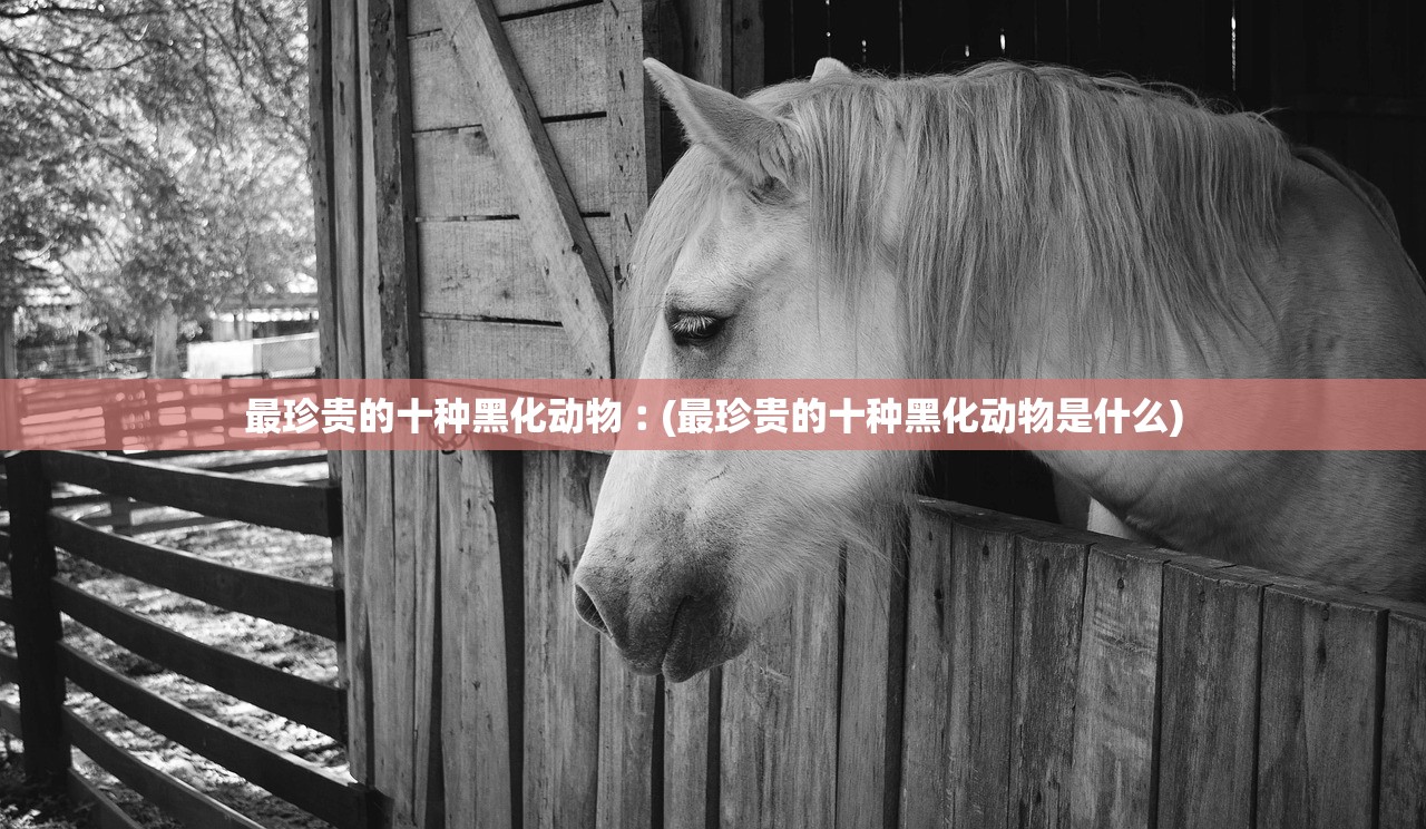 最珍贵的十种黑化动物︰(最珍贵的十种黑化动物是什么)