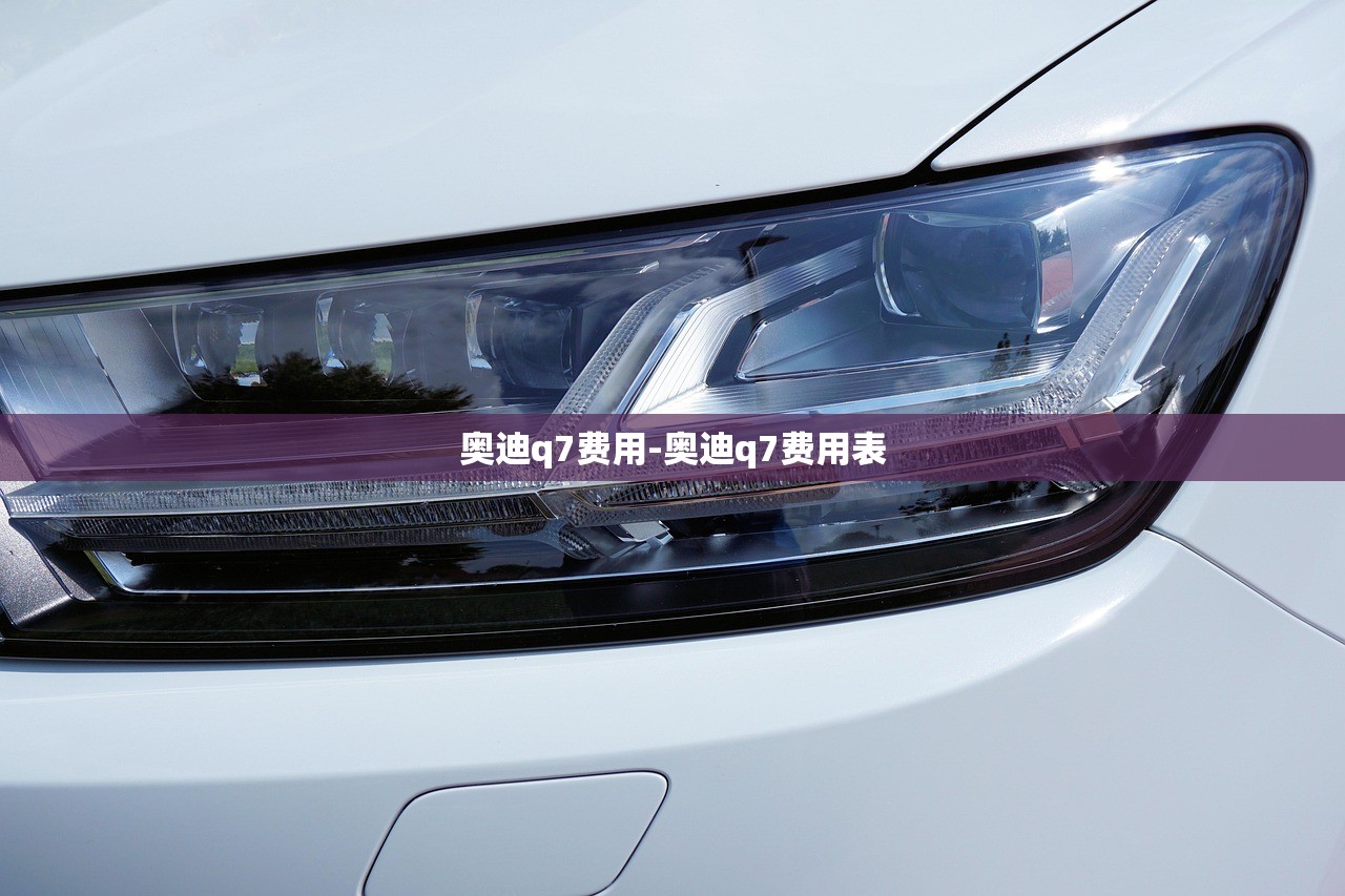 奥迪q7费用-奥迪q7费用表