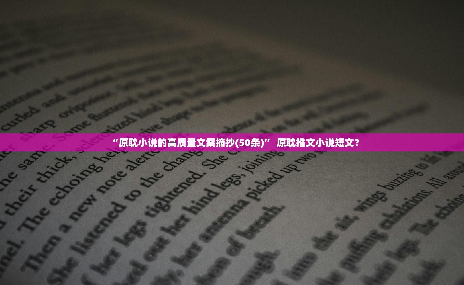“原耽小说的高质量文案摘抄(50条)	” 原耽推文小说短文？