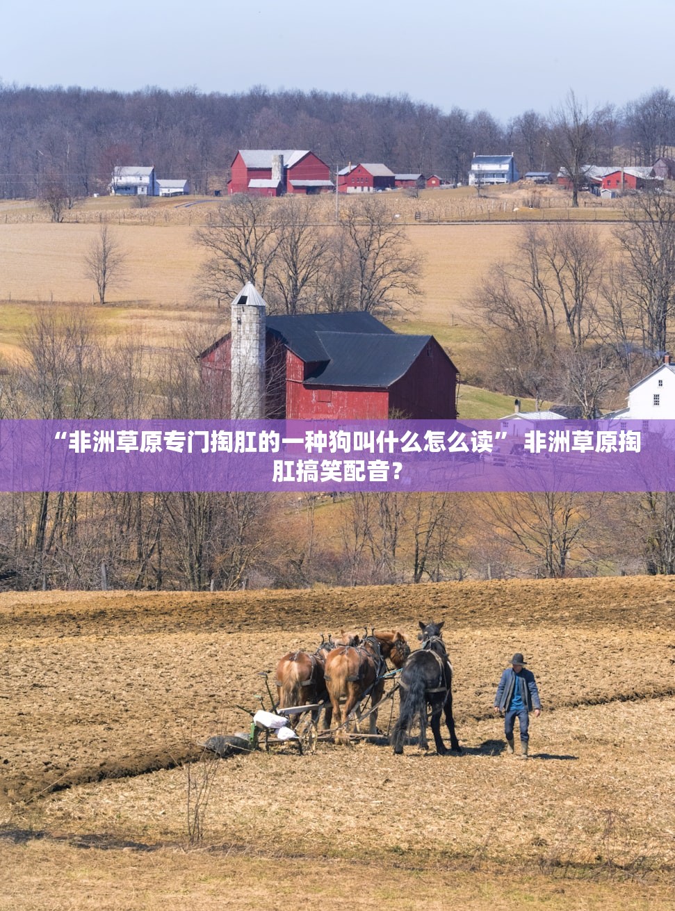 “非洲草原专门掏肛的一种狗叫什么怎么读	” 非洲草原掏肛搞笑配音？