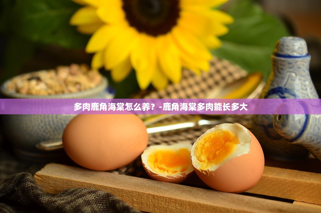多肉鹿角海棠怎么养?-鹿角海棠多肉能长多大 多肉鹿角海棠怎么养?-鹿角海棠多肉能长多大