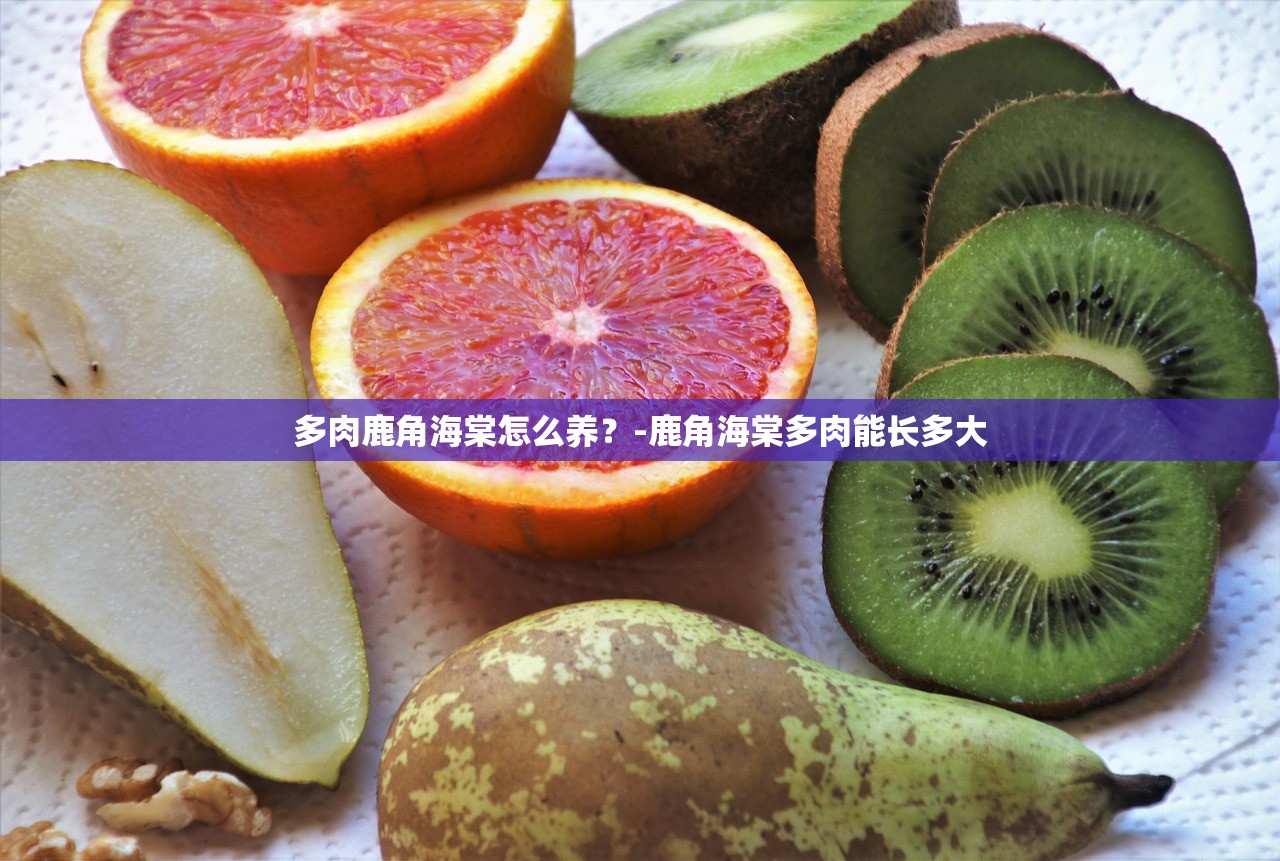 多肉鹿角海棠怎么养?-鹿角海棠多肉能长多大 多肉鹿角海棠怎么养?-鹿角海棠多肉能长多大