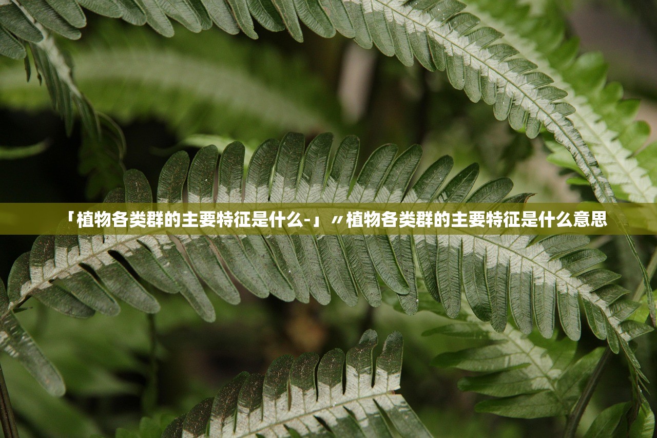 「植物各类群的主要特征是什么-」〃植物各类群的主要特征是什么意思