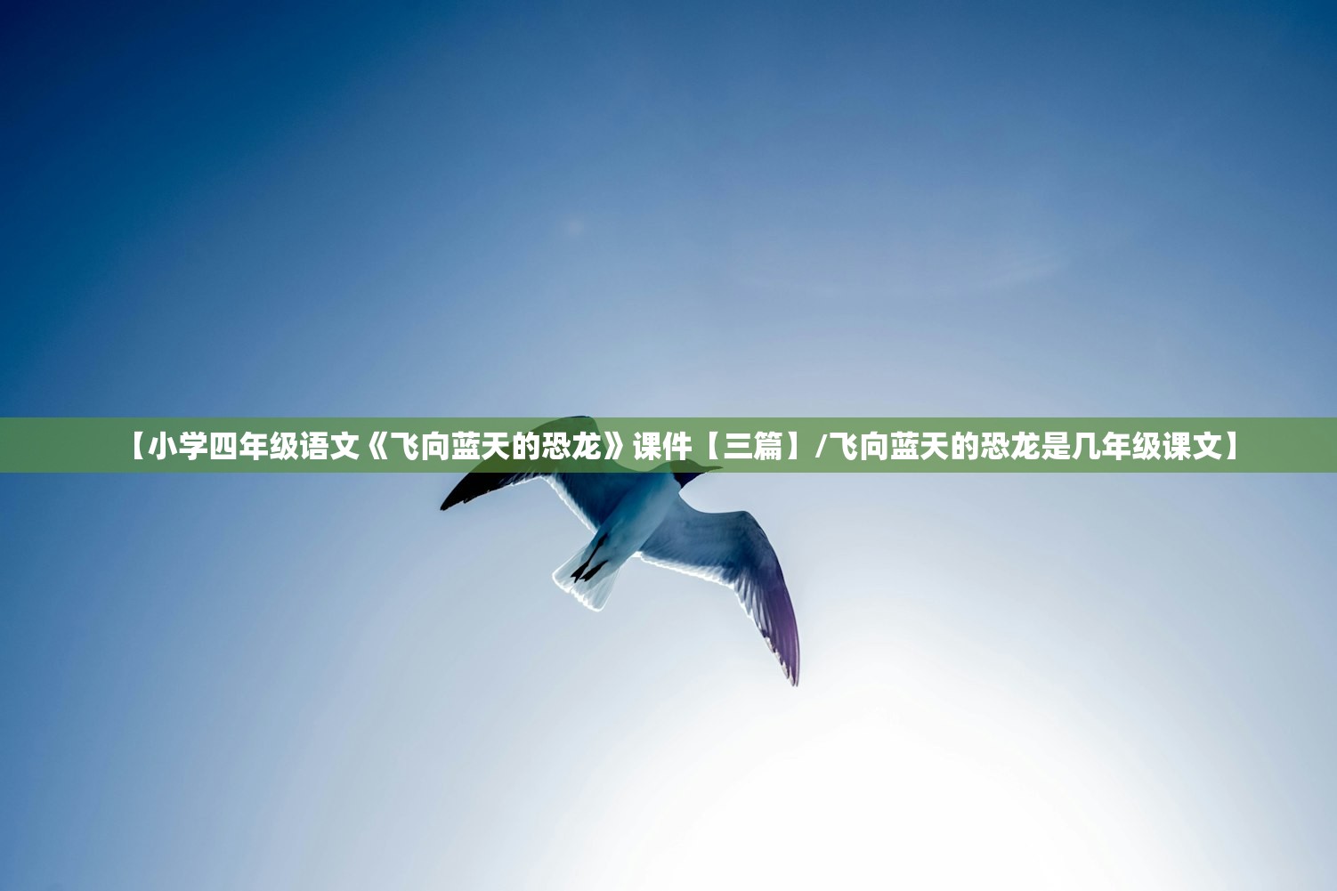 【小学四年级语文《飞向蓝天的恐龙》课件【三篇】/飞向蓝天的恐龙是几年级课文】 【小学四年级语文《飞向蓝天的恐龙》课件【三篇】/飞向蓝天的恐龙是几年级课文】