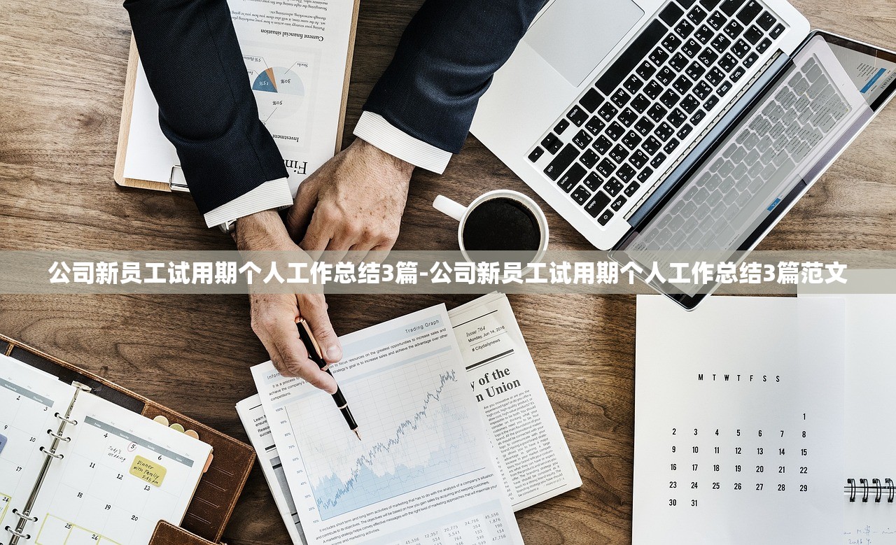 公司新员工试用期个人工作总结3篇-公司新员工试用期个人工作总结3篇范文