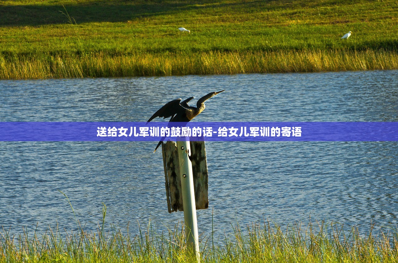 送给女儿军训的鼓励的话-给女儿军训的寄语